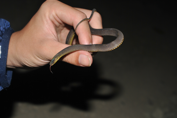 «ö¦¹¦b·sµøµ¡ÂsÄý¹Ï¤ù