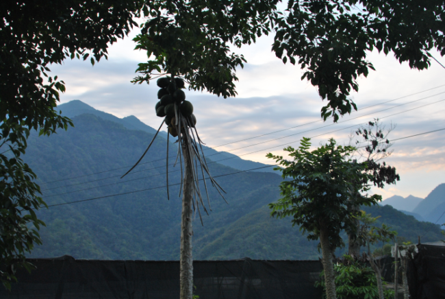 «ö¦¹¦b·sµøµ¡ÂsÄý¹Ï¤ù