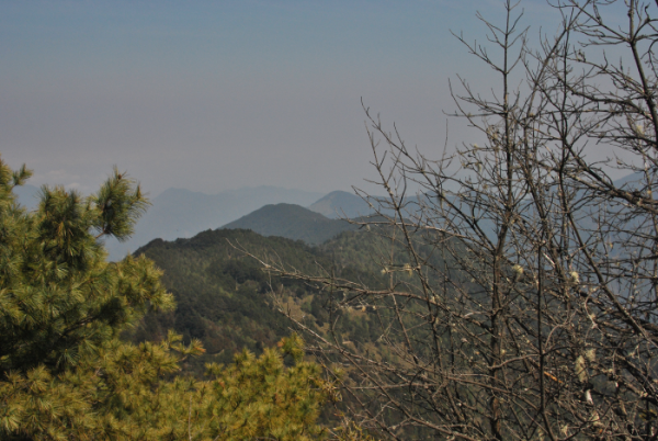 «ö¦¹¦b·sµøµ¡ÂsÄý¹Ï¤ù