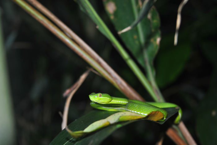 «ö¦¹¦b·sµøµ¡ÂsÄý¹Ï¤ù