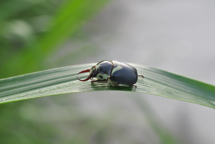 «ö¦¹¦b·sµøµ¡ÂsÄý¹Ï¤ù