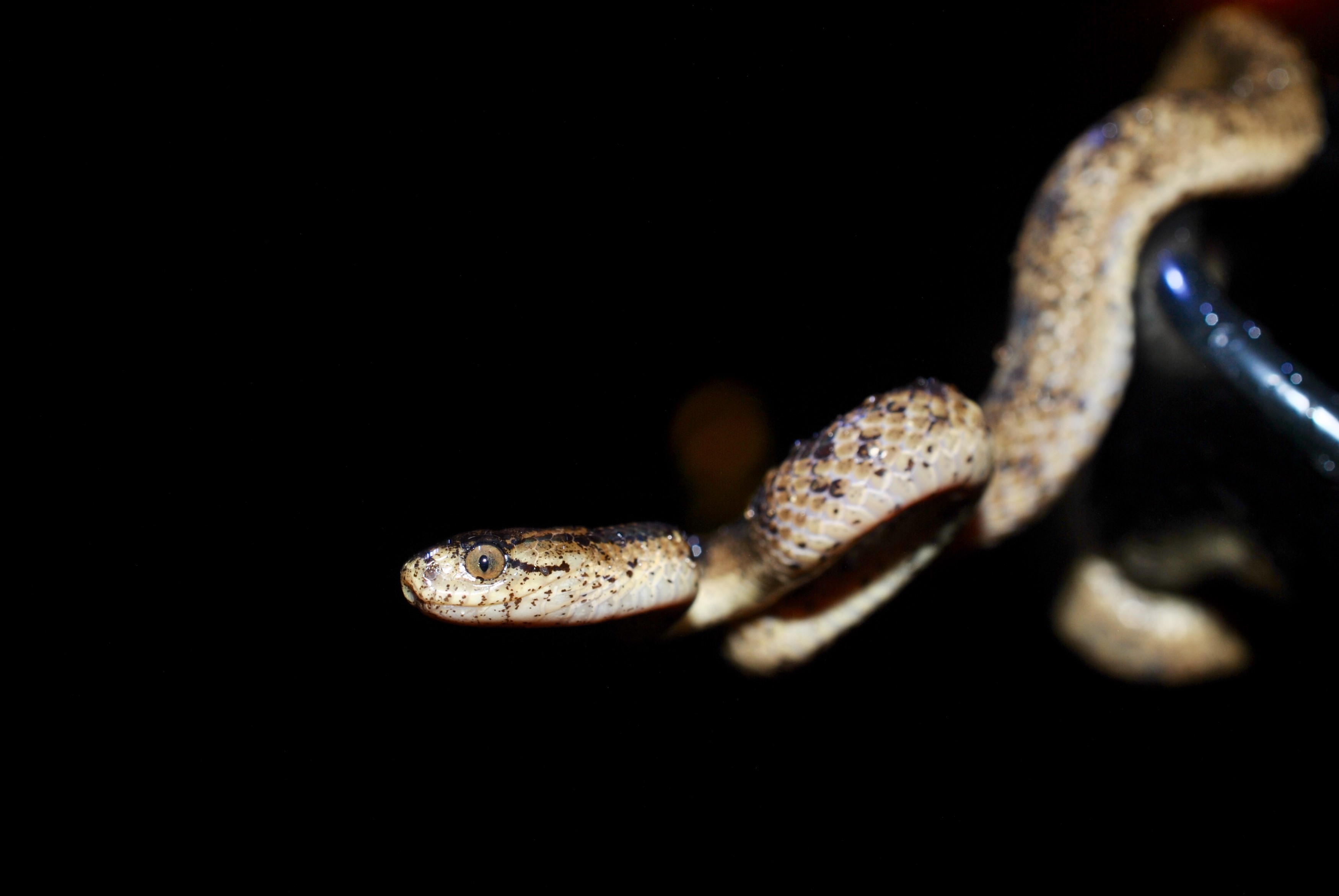 «ö¦¹¦b·sµøµ¡ÂsÄý¹Ï¤ù