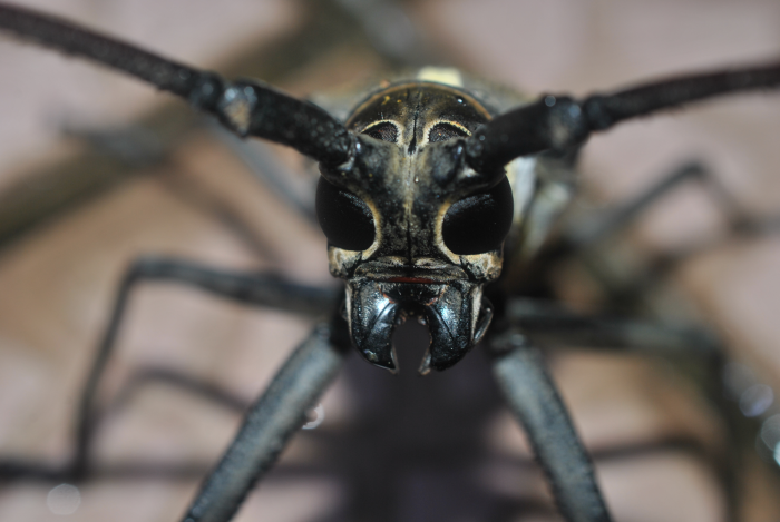 «ö¦¹¦b·sµøµ¡ÂsÄý¹Ï¤ù