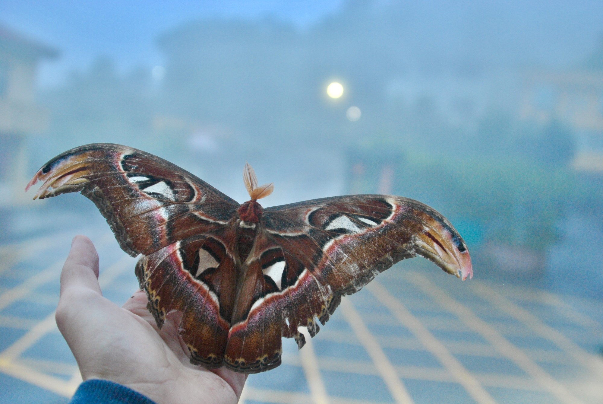 «ö¦¹¦b·sµøµ¡ÂsÄý¹Ï¤ù