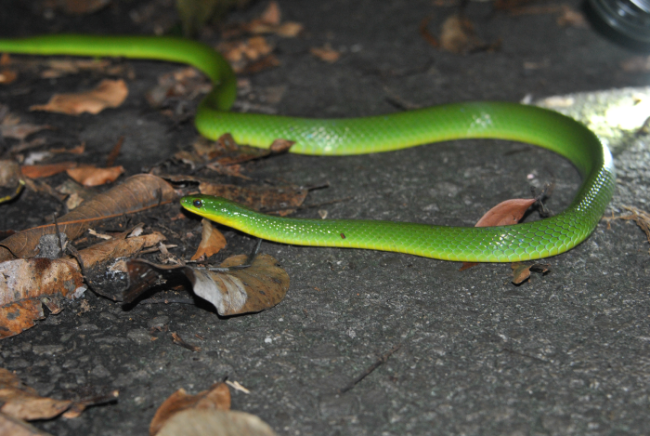 «ö¦¹¦b·sµøµ¡ÂsÄý¹Ï¤ù