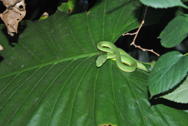 «ö¦¹¦b·sµøµ¡ÂsÄý¹Ï¤ù