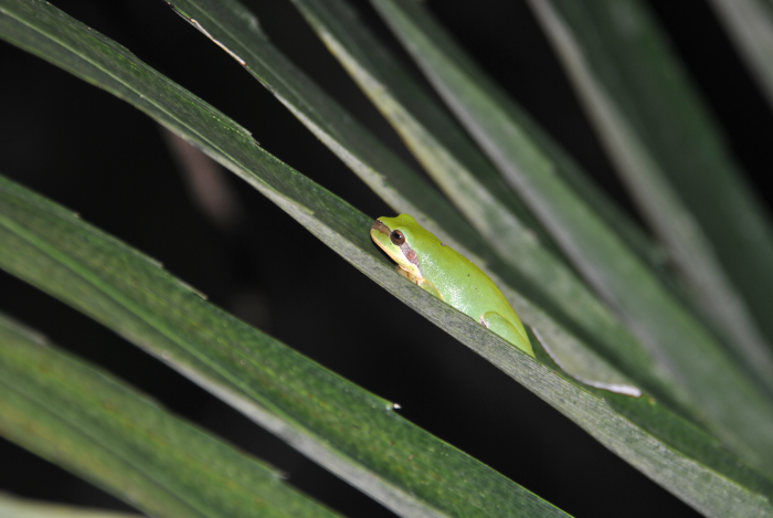 «ö¦¹¦b·sµøµ¡ÂsÄý¹Ï¤ù