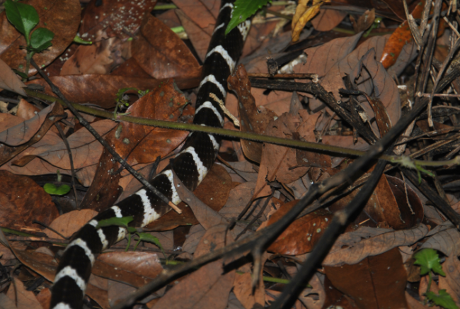 «ö¦¹¦b·sµøµ¡ÂsÄý¹Ï¤ù