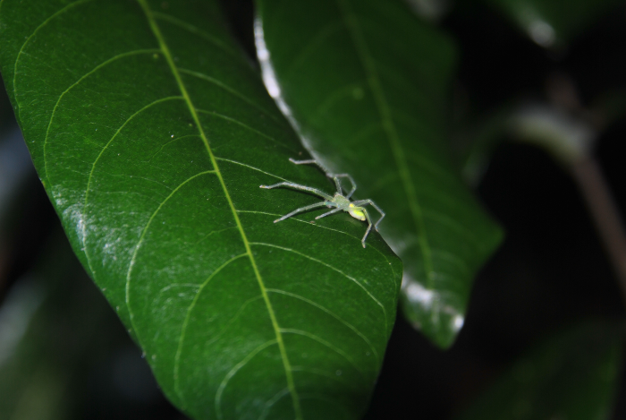 «ö¦¹¦b·sµøµ¡ÂsÄý¹Ï¤ù