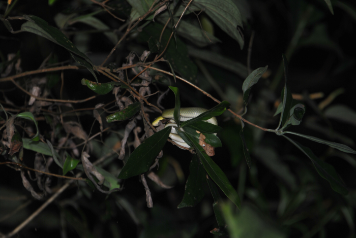 «ö¦¹¦b·sµøµ¡ÂsÄý¹Ï¤ù