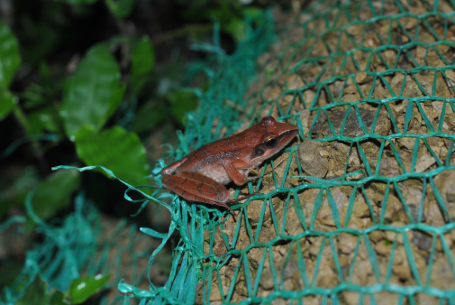 «ö¦¹¦b·sµøµ¡ÂsÄý¹Ï¤ù