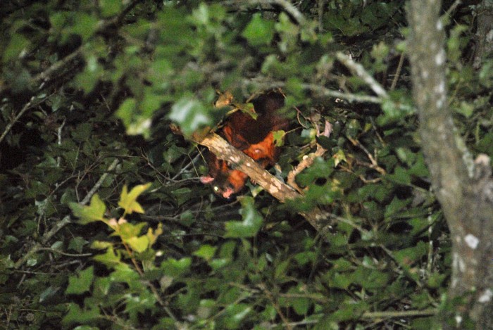 «ö¦¹¦b·sµøµ¡ÂsÄý¹Ï¤ù