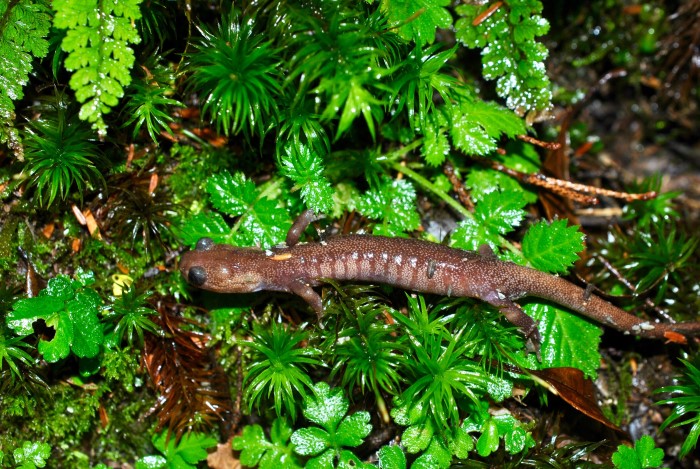 «ö¦¹¦b·sµøµ¡ÂsÄý¹Ï¤ù