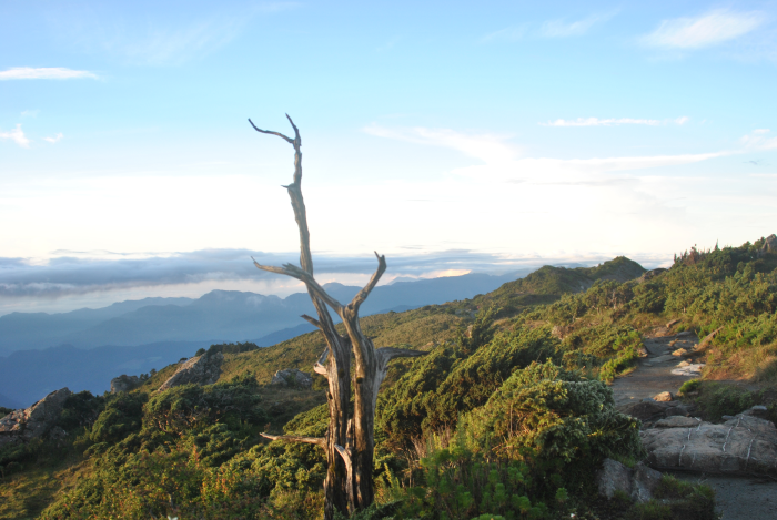 «ö¦¹¦b·sµøµ¡ÂsÄý¹Ï¤ù