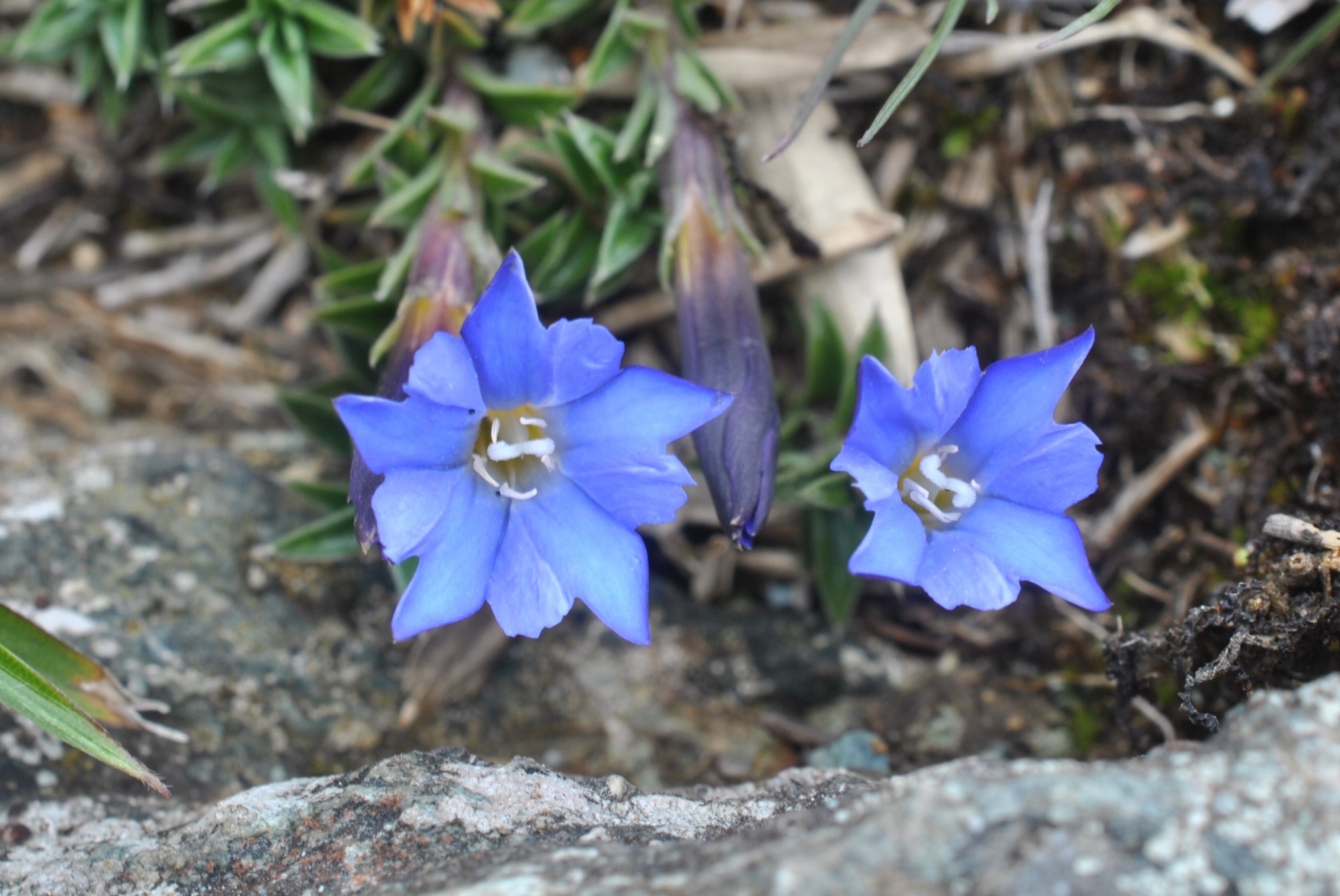 «ö¦¹¦b·sµøµ¡ÂsÄý¹Ï¤ù