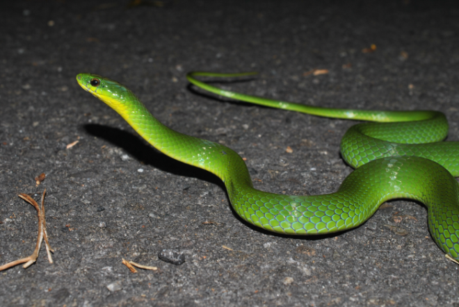 «ö¦¹¦b·sµøµ¡ÂsÄý¹Ï¤ù