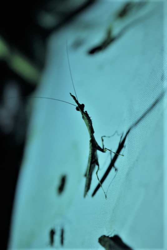 «ö¦¹¦b·sµøµ¡ÂsÄý¹Ï¤ù