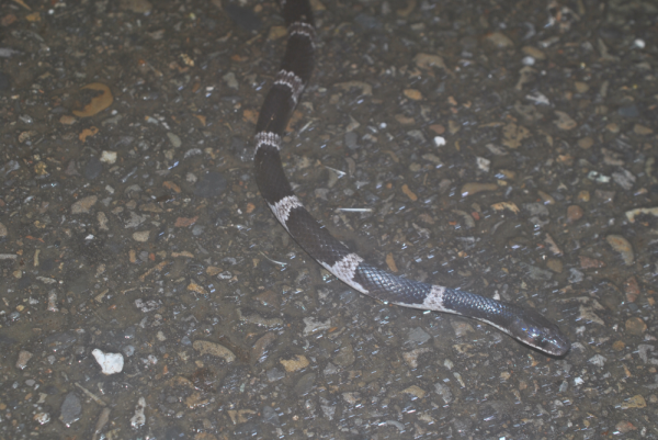 «ö¦¹¦b·sµøµ¡ÂsÄý¹Ï¤ù