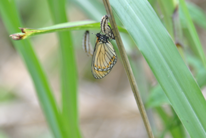 «ö¦¹¦b·sµøµ¡ÂsÄý¹Ï¤ù