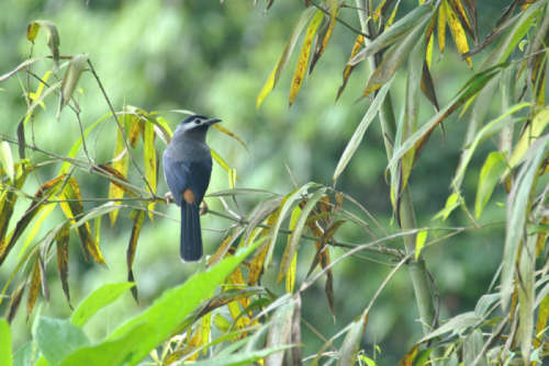 «ö¦¹¦b·sµøµ¡ÂsÄý¹Ï¤ù