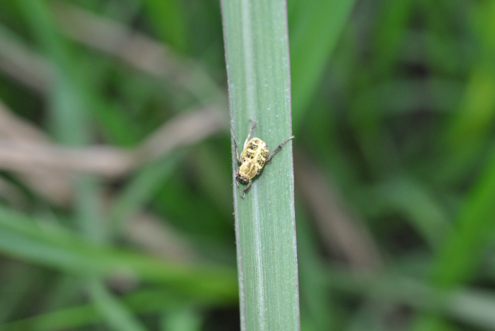 «ö¦¹¦b·sµøµ¡ÂsÄý¹Ï¤ù