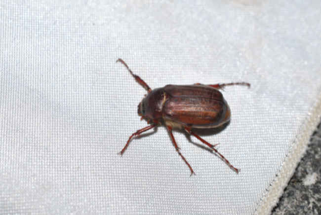 «ö¦¹¦b·sµøµ¡ÂsÄý¹Ï¤ù