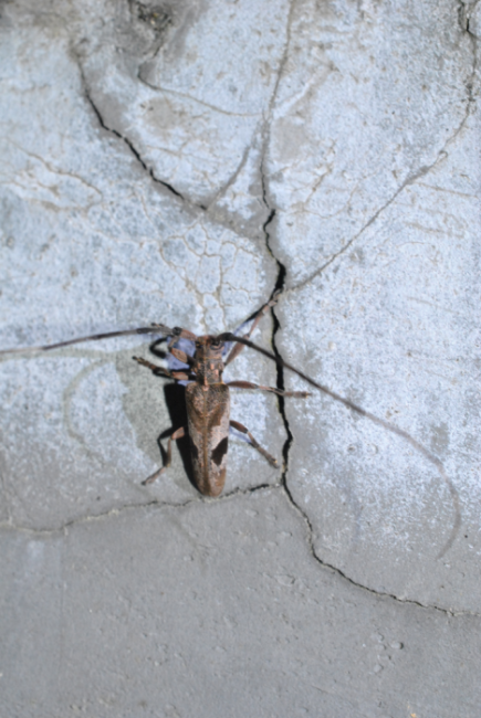 «ö¦¹¦b·sµøµ¡ÂsÄý¹Ï¤ù