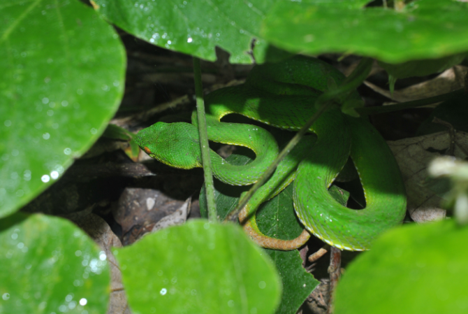 «ö¦¹¦b·sµøµ¡ÂsÄý¹Ï¤ù