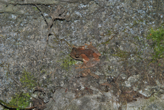 «ö¦¹¦b·sµøµ¡ÂsÄý¹Ï¤ù