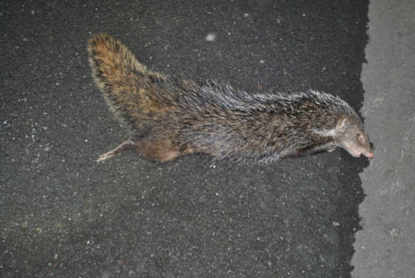 «ö¦¹¦b·sµøµ¡ÂsÄý¹Ï¤ù