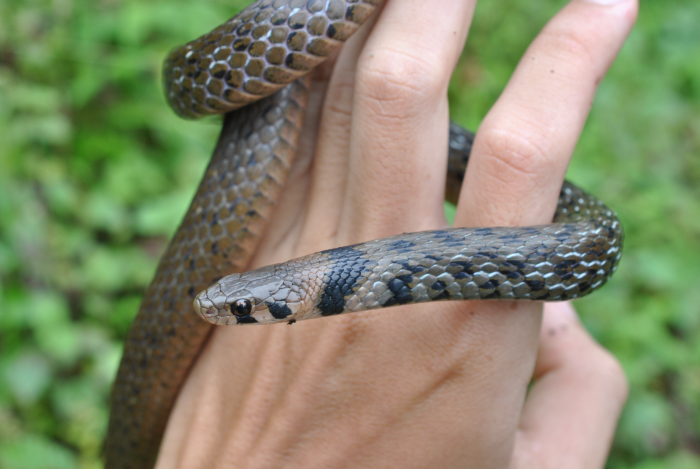 «ö¦¹¦b·sµøµ¡ÂsÄý¹Ï¤ù