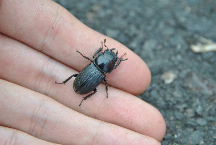 «ö¦¹¦b·sµøµ¡ÂsÄý¹Ï¤ù