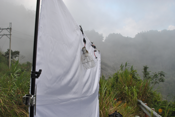 «ö¦¹¦b·sµøµ¡ÂsÄý¹Ï¤ù