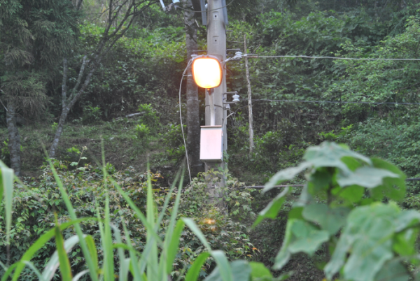 «ö¦¹¦b·sµøµ¡ÂsÄý¹Ï¤ù