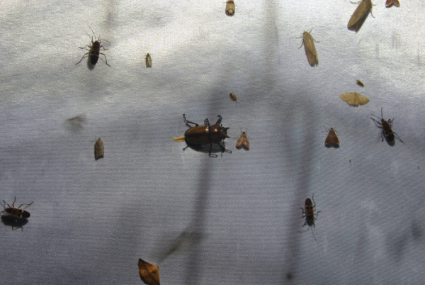 «ö¦¹¦b·sµøµ¡ÂsÄý¹Ï¤ù