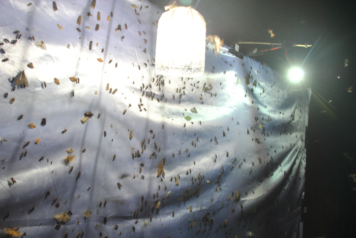 «ö¦¹¦b·sµøµ¡ÂsÄý¹Ï¤ù