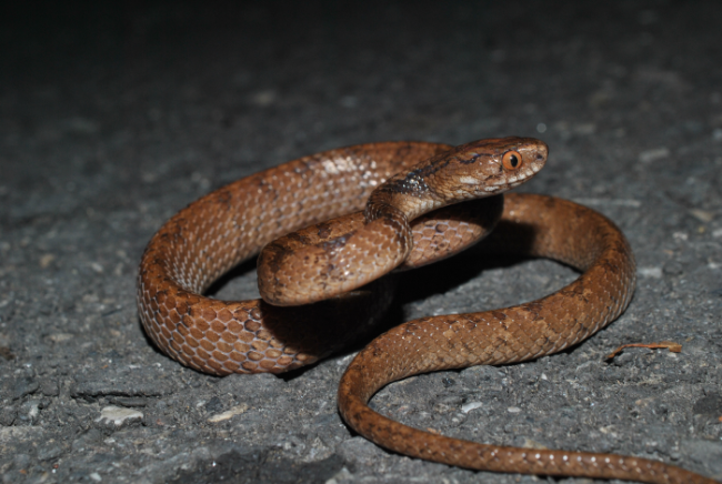 «ö¦¹¦b·sµøµ¡ÂsÄý¹Ï¤ù