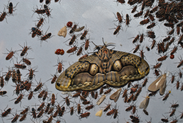 «ö¦¹¦b·sµøµ¡ÂsÄý¹Ï¤ù