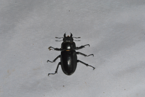 «ö¦¹¦b·sµøµ¡ÂsÄý¹Ï¤ù