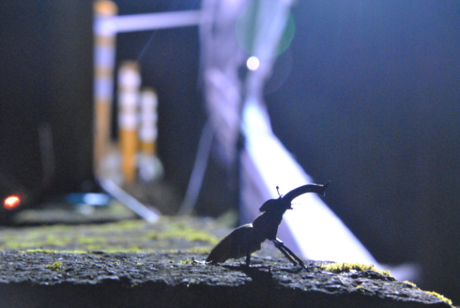 «ö¦¹¦b·sµøµ¡ÂsÄý¹Ï¤ù