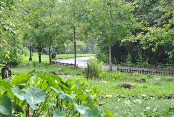 «ö¦¹¦b·sµøµ¡ÂsÄý¹Ï¤ù