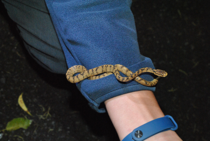 «ö¦¹¦b·sµøµ¡ÂsÄý¹Ï¤ù