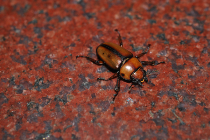 «ö¦¹¦b·sµøµ¡ÂsÄý¹Ï¤ù