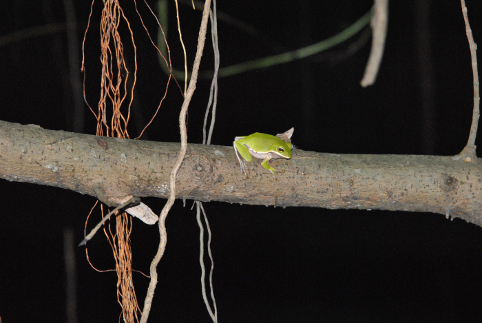 «ö¦¹¦b·sµøµ¡ÂsÄý¹Ï¤ù