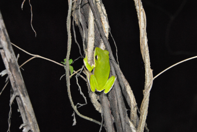 «ö¦¹¦b·sµøµ¡ÂsÄý¹Ï¤ù