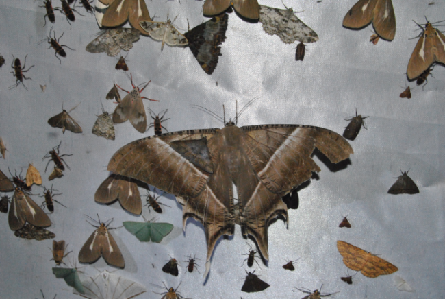 «ö¦¹¦b·sµøµ¡ÂsÄý¹Ï¤ù