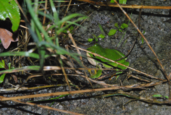 «ö¦¹¦b·sµøµ¡ÂsÄý¹Ï¤ù