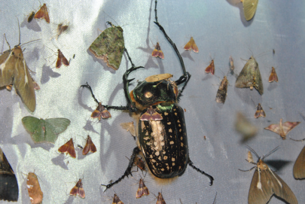 «ö¦¹¦b·sµøµ¡ÂsÄý¹Ï¤ù