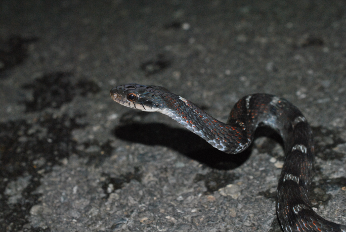 «ö¦¹¦b·sµøµ¡ÂsÄý¹Ï¤ù