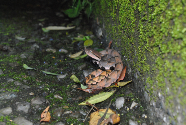 «ö¦¹¦b·sµøµ¡ÂsÄý¹Ï¤ù